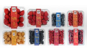 Fondo canadiense se queda con cerca del 62% de Hortifrut