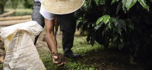 Aplazarán temporalmente la aplicación del arancel externo a insumos agropecuarios