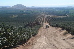 El ENA es el gran día para juntarnos los productores