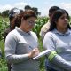 GRUMA y CIMMYT capacitan a técnicos en agricultura sustentable y tecnología de campo