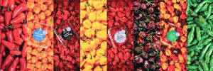 Chiles de nicho, colores, sabores y picores que seducen en EE UU