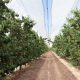 Plasticultura de avanzada para el agro