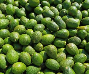 Chile supera su récord en exportaciones de fruta fresca dos meses antes de finalizar el año