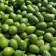 Chile supera su récord en exportaciones de fruta fresca dos meses antes de finalizar el año