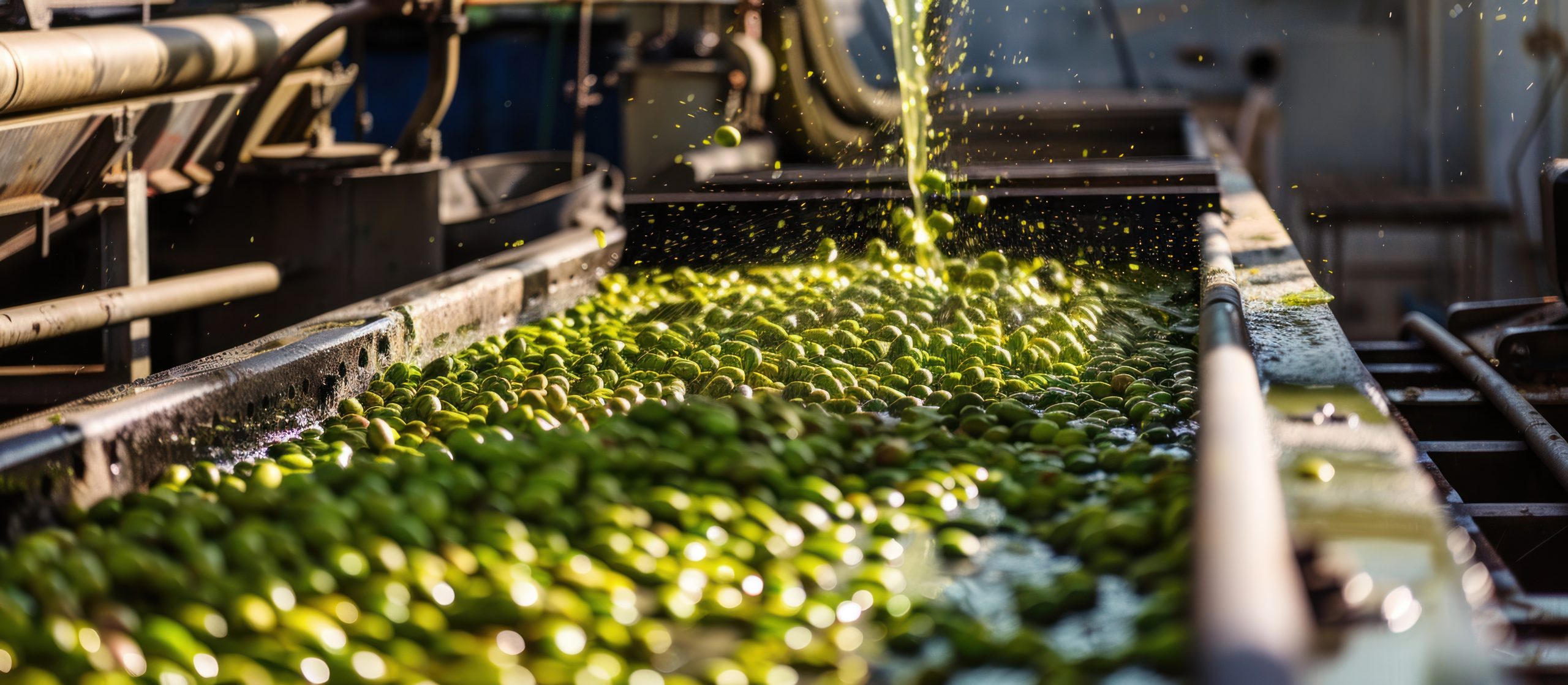 Encuentro Nacional de Aceite de Oliva celebrará el Tercer Acuerdo de Producción Limpia de la industria