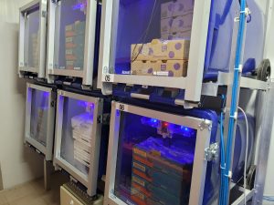 Tecnología y técnicas que han permitido dar el salto a la fruta de exportación de la región