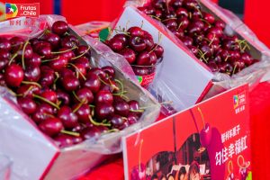 China recibe el primer Cherry Express de la temporada con 4.500 toneladas de cerezas frescas