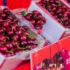 China recibe el primer Cherry Express de la temporada con 4.500 toneladas de cerezas frescas