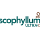 Ascophyllum Ultra•Dry, ventajas de su aplicación al suelo vía riego