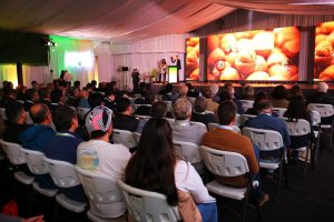 Vía libre para seguir plantando avellanos, pero cuidado con el chinche asiático