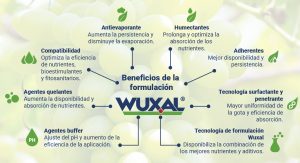 El regreso de dos soluciones premium y sus beneficios en el cultivo de la uva de mesa