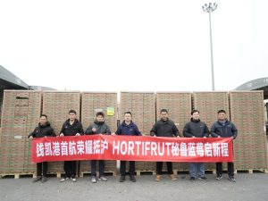 Arribó a China el primer envío de arándanos de Hortifrut desde el Puerto de Chancay