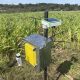 Startup chilena cruza la cordillera y llega a Argentina y Brasil con sistemas de monitoreo
