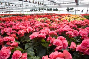 El rol crucial del uso de estaciones meteorológicas frente al cambio climático