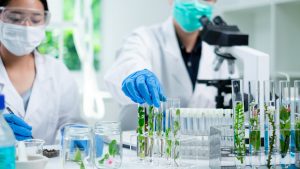 Estrategias innovadoras para el diagnóstico y manejo eficiente de patógenos en la agricultura