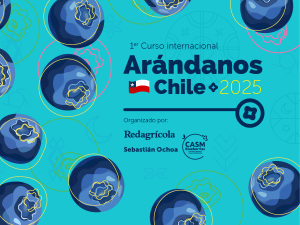 ¡No te lo puedes perder! Curso internacional de arándanos Chile 2025 llega con todo