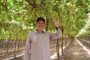 “Mi negocio es producir, no vender, pero…”