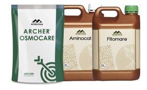 Uso de bioestimulantes en cultivo de arándano en estrés abiótico