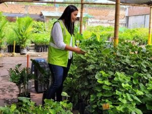 ¿Qué requisitos deben cumplir los viveros y huertos básicos en Colombia?