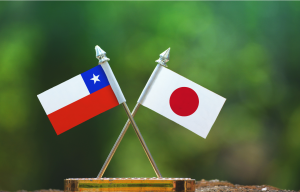 Envíos de frutas frescas chilenas a Japón aumentan un 30%