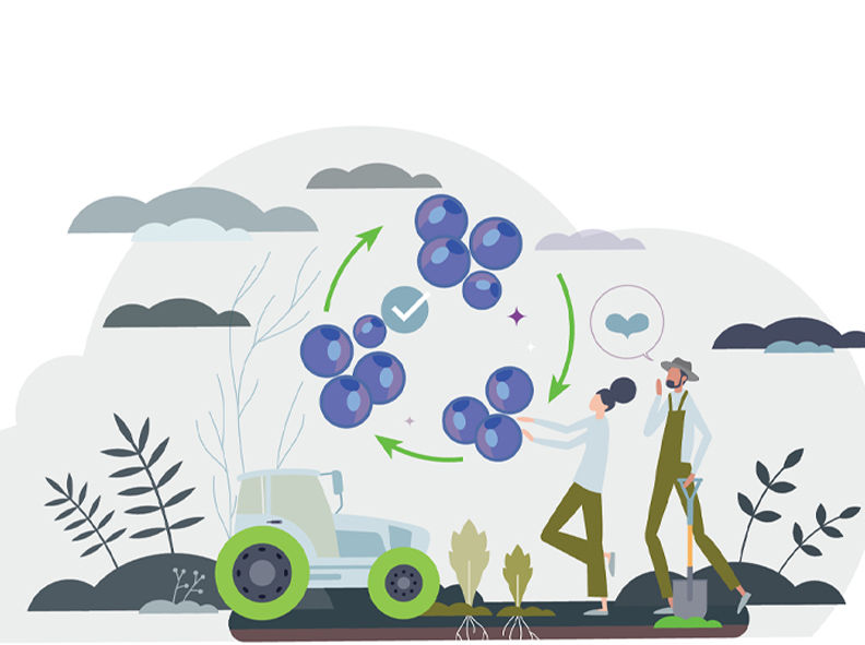 Agricultura regenerativa