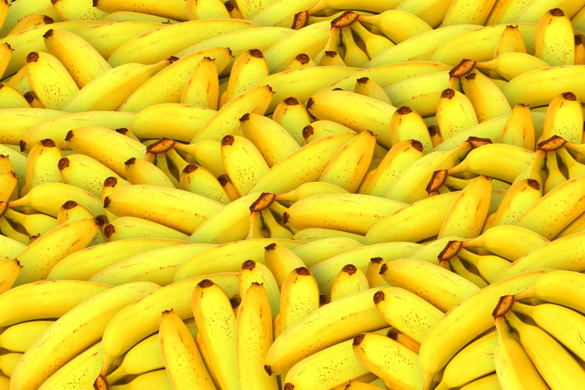Frutos de banana plátano