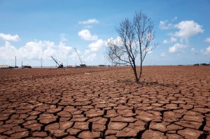 México se encuentra en alerta roja por cuenta de la sequía