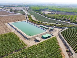 Las estrategias de Don Ricardo para un riego eficiente y sostenible