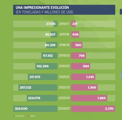 Infografía evolucion arandano