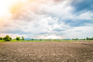 La caña de azúcar se ha transformado en símbolo de evolución agrícola gracias a la agricultura de precisión