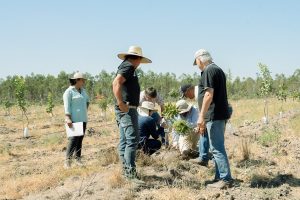 Proyecto que busca diversificar oferta productiva de la región de Ñuble avanza a nueva fase