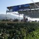Estudio busca conocer visión de productores sobre tecnología agrivoltaica en Chile