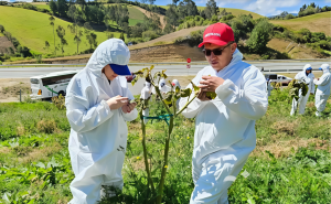 En Colombia fortalecen la sanidad vegetal con ciencia, investigación y compromiso territorial