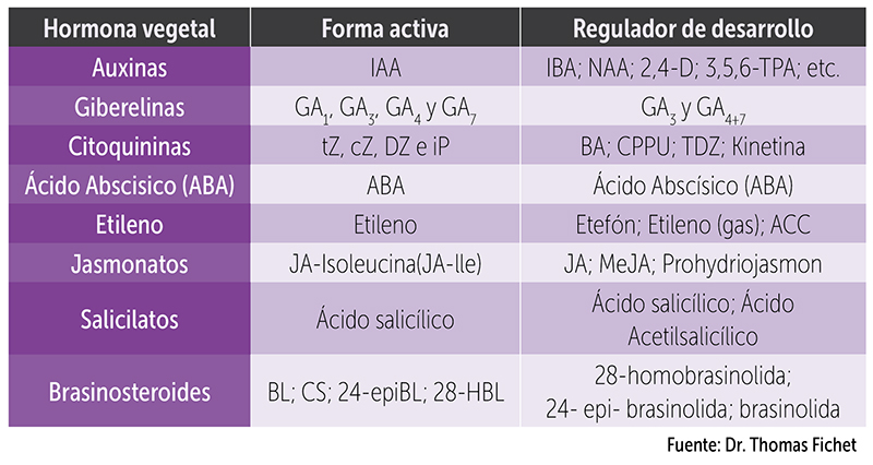 Cuadro de hormonas vegetales