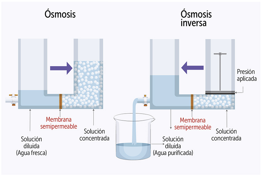 Diferencias entre los procesos de ómosis y ósmosis inversa.