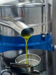 Con el reto de llevar la producción de aguacate a  otro nivel