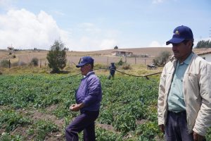 Habilitan $128.000 millones para que los productores aseguren sus cultivos ante fenómenos climáticos