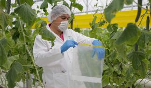 México se consolida como un referente internacional en sanidad vegetal
