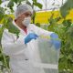 México se consolida como un referente internacional en sanidad vegetal