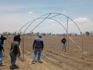 Universidad de Chapingo impulsa la agricultura inteligente con macrotúnel experimental