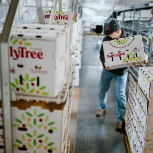 El trabajo anticipado de Valle y Pampa para agilizar la logística