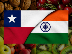 Chile se posiciona en India con nueces, kiwis, manzanas y cerezas