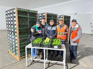 Chile recibió el primer cargamento de palta Hass desde Brasil