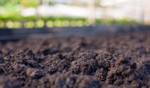 La Serena será la sede del XV Congreso Nacional de la Ciencia del Suelo