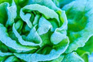 Chile proyecta un invierno con lluvias cortas e intensas y frío extremo