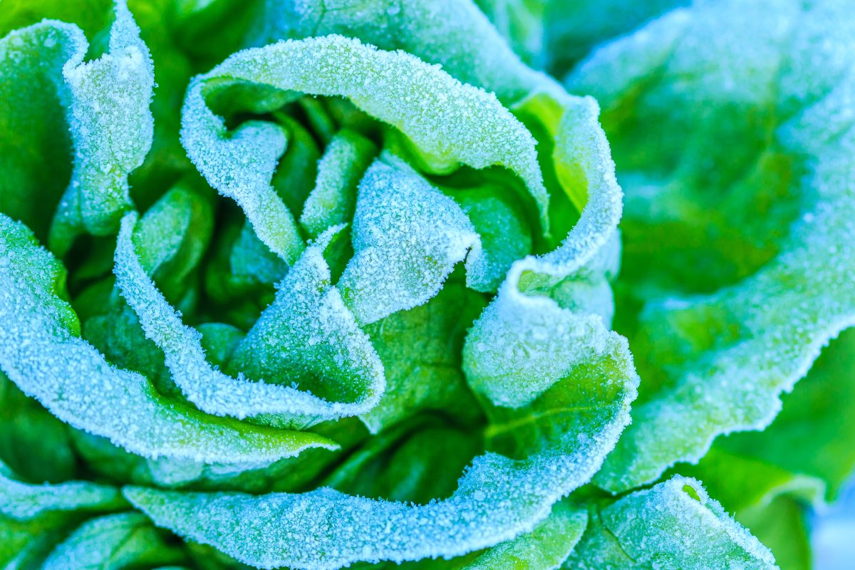 Chile proyecta un invierno con lluvias cortas e intensas y frío extremo