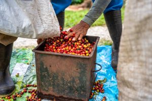 Exportaciones de Colombia a EE UU crecieron 15% durante el primer trimestre del año