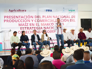 Gobierno mexicano presenta plan nacional para fortalecer la producción y comercialización del maíz