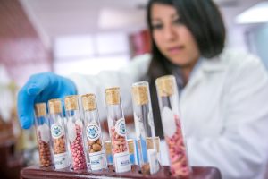 A la vanguardia: la Universidad Autónoma de Chapingo incrementa su oferta de estudios de posgrado