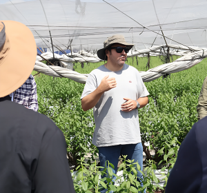 Exitoso curso de arándanos contó con destacados expertos que abordaron los desafíos del cultivo en México